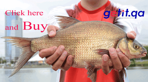 Now Fresh Fish Available in Qatar through Online Marketplace