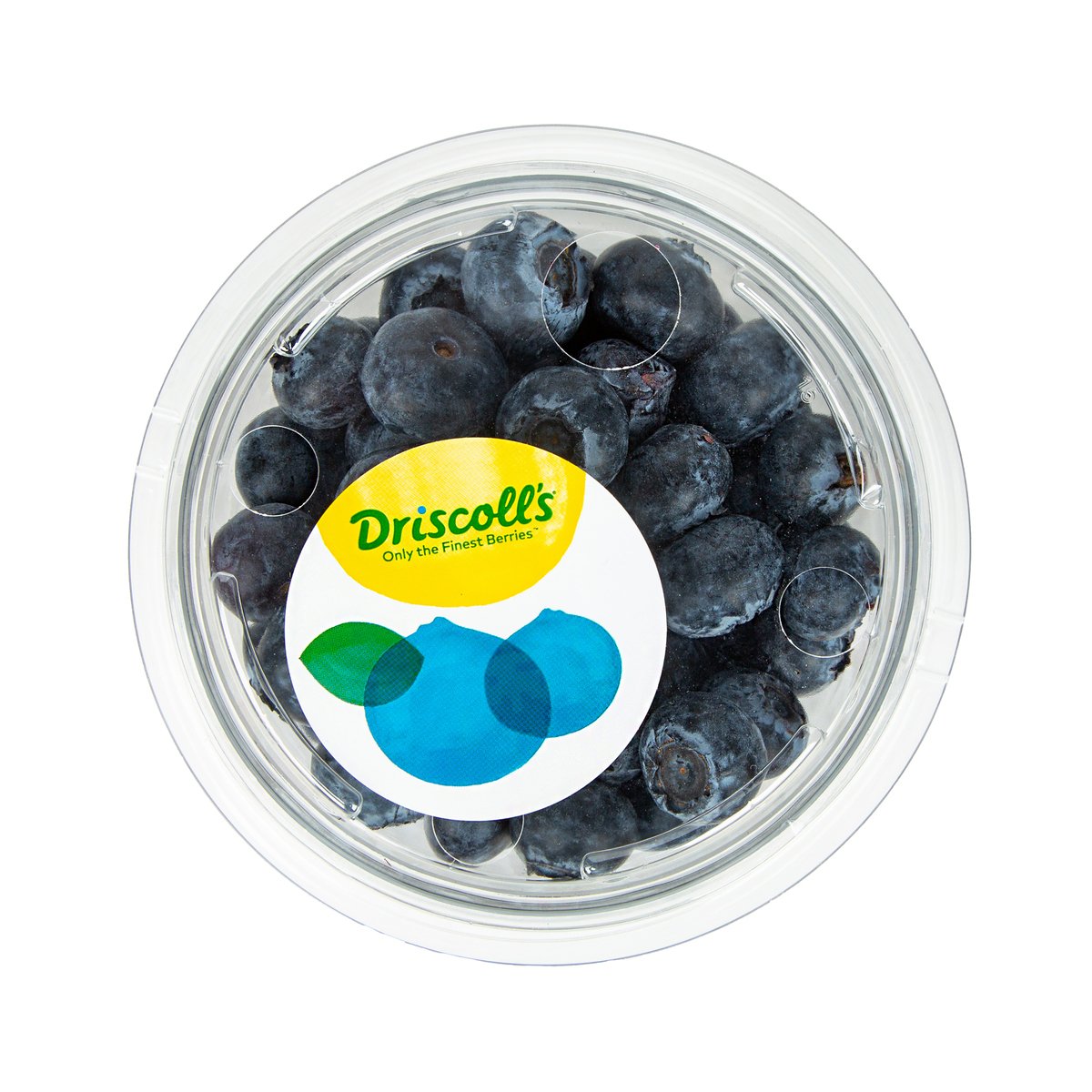 GETIT.QA- Qatar’s Best Online Shopping Website offers DRISCOLL'S BLUEBERRY 500GM PKT at the lowest price in Qatar. Free Shipping & COD Available!