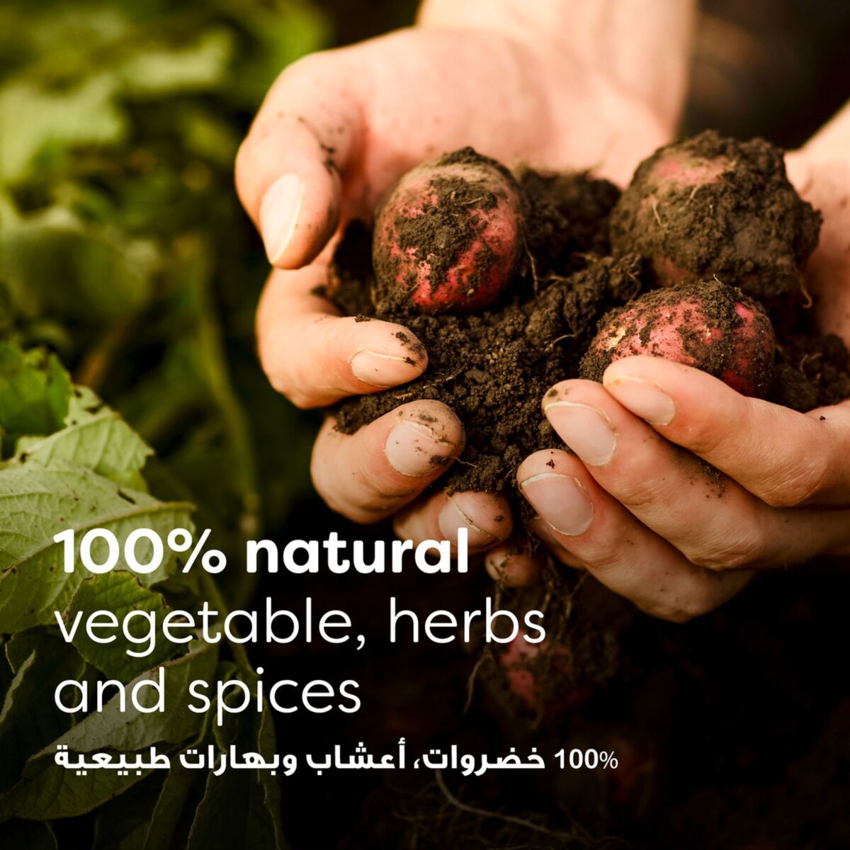 GETIT.QA- Qatar’s Best Online Shopping Website offers KNR VEG.STOCK CUBES 2S 18G at the lowest price in Qatar. Free Shipping & COD Available!