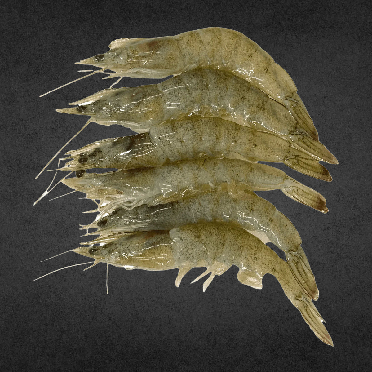 GETIT.QA- Qatar’s Best Online Shopping Website offers FARMED PRAWNS50/60 SAUDIARABIA at the lowest price in Qatar. Free Shipping & COD Available!