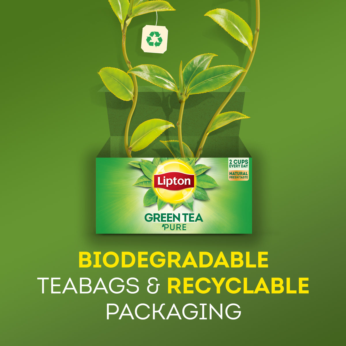 GETIT.QA- Qatar’s Best Online Shopping Website offers LIPTON GREEN TEA PURE 50S 75G at the lowest price in Qatar. Free Shipping & COD Available!