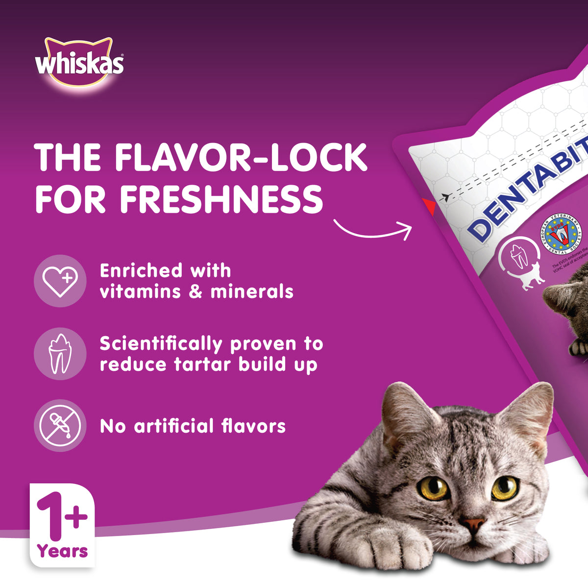 GETIT.QA- Qatar’s Best Online Shopping Website offers WHISKAS CHICKEN DENTABITES TREATS FOR ADULT CATS 1+ YEARS 50 G at the lowest price in Qatar. Free Shipping & COD Available!