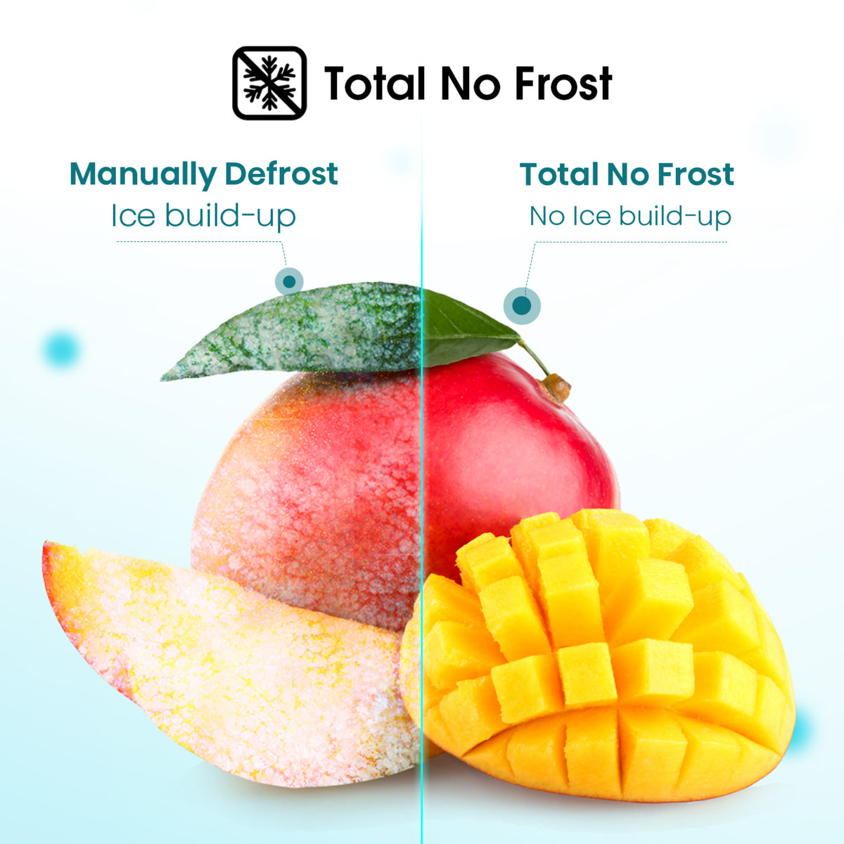 GETIT.QA- Qatar’s Best Online Shopping Website offers HISENSE SINGLE DOOR UPRIGHT FREEZER, 260L, FV356N4ASU at the lowest price in Qatar. Free Shipping & COD Available!