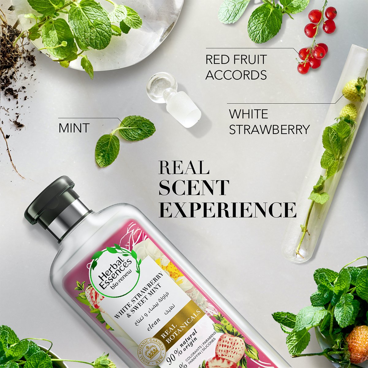 GETIT.QA- Qatar’s Best Online Shopping Website offers HERBAL ESSENCES BIO: RENEW CLEAN WHITE STRAWBERRY & SWEET MINT SHAMPOO 400 ML at the lowest price in Qatar. Free Shipping & COD Available!