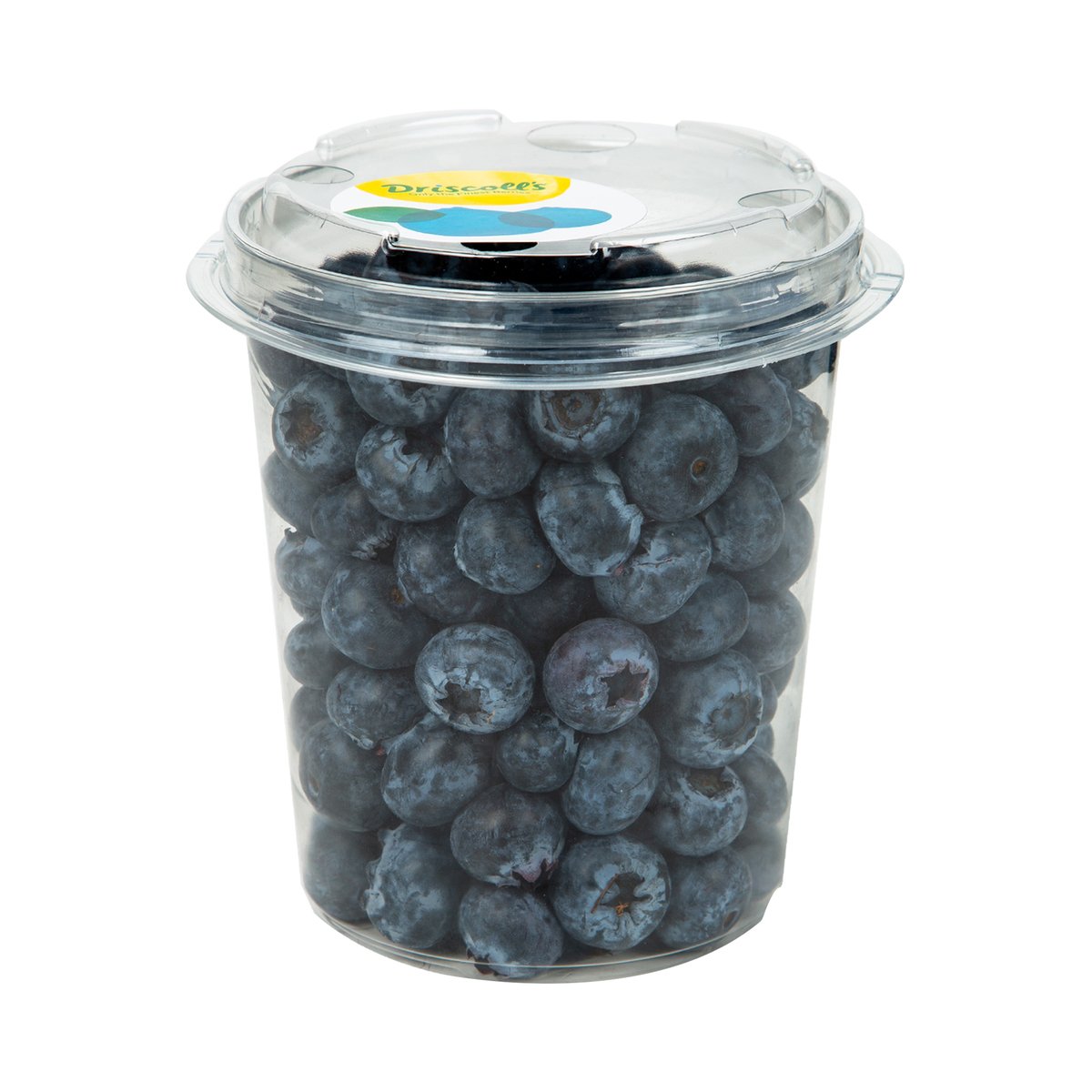 GETIT.QA- Qatar’s Best Online Shopping Website offers DRISCOLL'S BLUEBERRY 500GM PKT at the lowest price in Qatar. Free Shipping & COD Available!