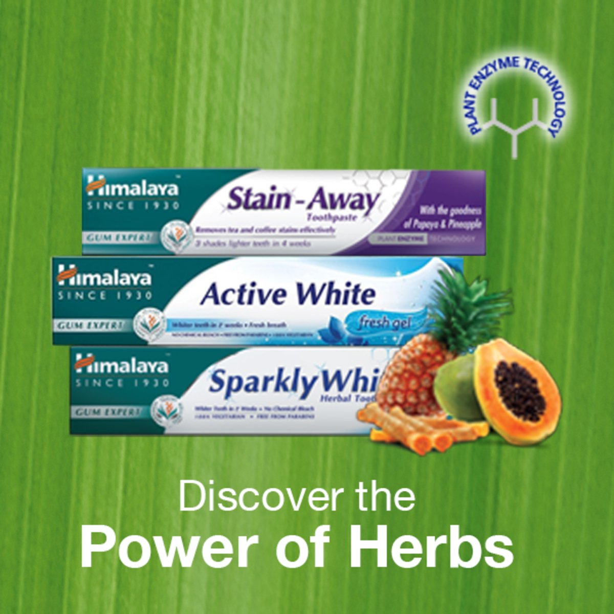 GETIT.QA- Qatar’s Best Online Shopping Website offers HIMALAYA TOOTHPASTE ACTIVE WHITE FRESH GEL 100 ML at the lowest price in Qatar. Free Shipping & COD Available!