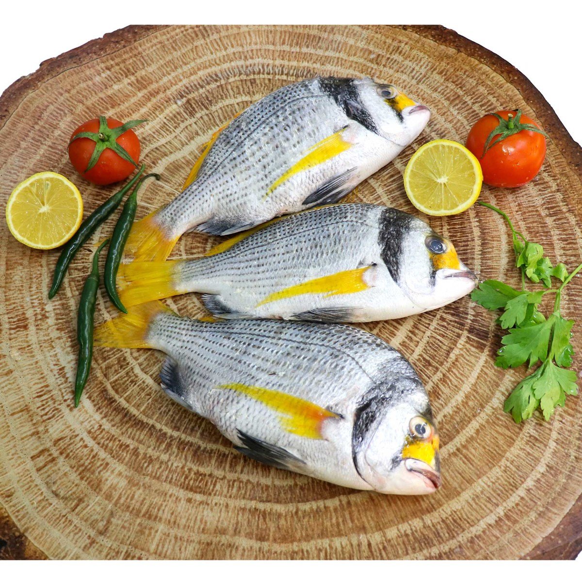 GETIT.QA- Qatar’s Best Online Shopping Website offers FASKER FISH MEDIUM 1 KG at the lowest price in Qatar. Free Shipping & COD Available!