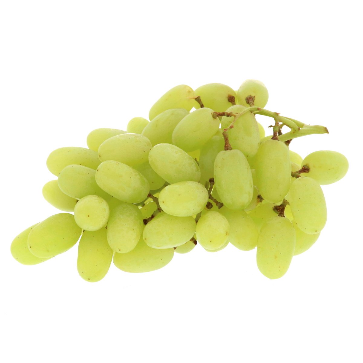 GETIT.QA- Qatar’s Best Online Shopping Website offers GRAPES WHITE AUSTRALIA 500 G at the lowest price in Qatar. Free Shipping & COD Available!