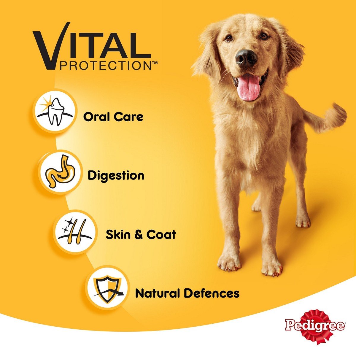 GETIT.QA- Qatar’s Best Online Shopping Website offers PEDIGREE ORIGINAL 400GM at the lowest price in Qatar. Free Shipping & COD Available!