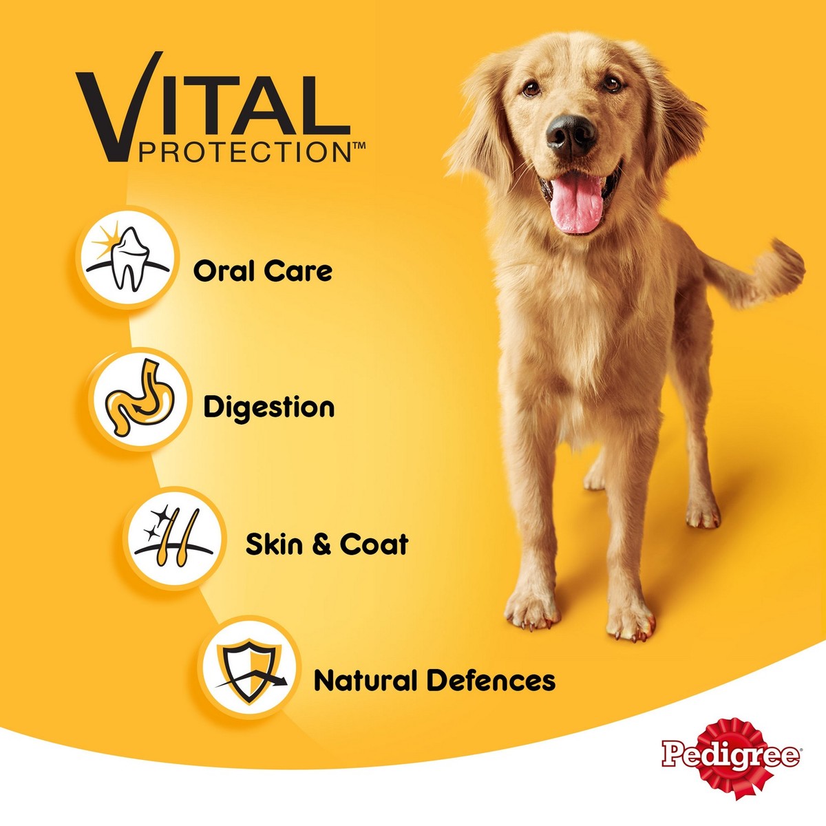 GETIT.QA- Qatar’s Best Online Shopping Website offers PEDIGREE CHICKEN & VEGETABLES DRY DOG FOOD (ADULT) 3 KG
 at the lowest price in Qatar. Free Shipping & COD Available!