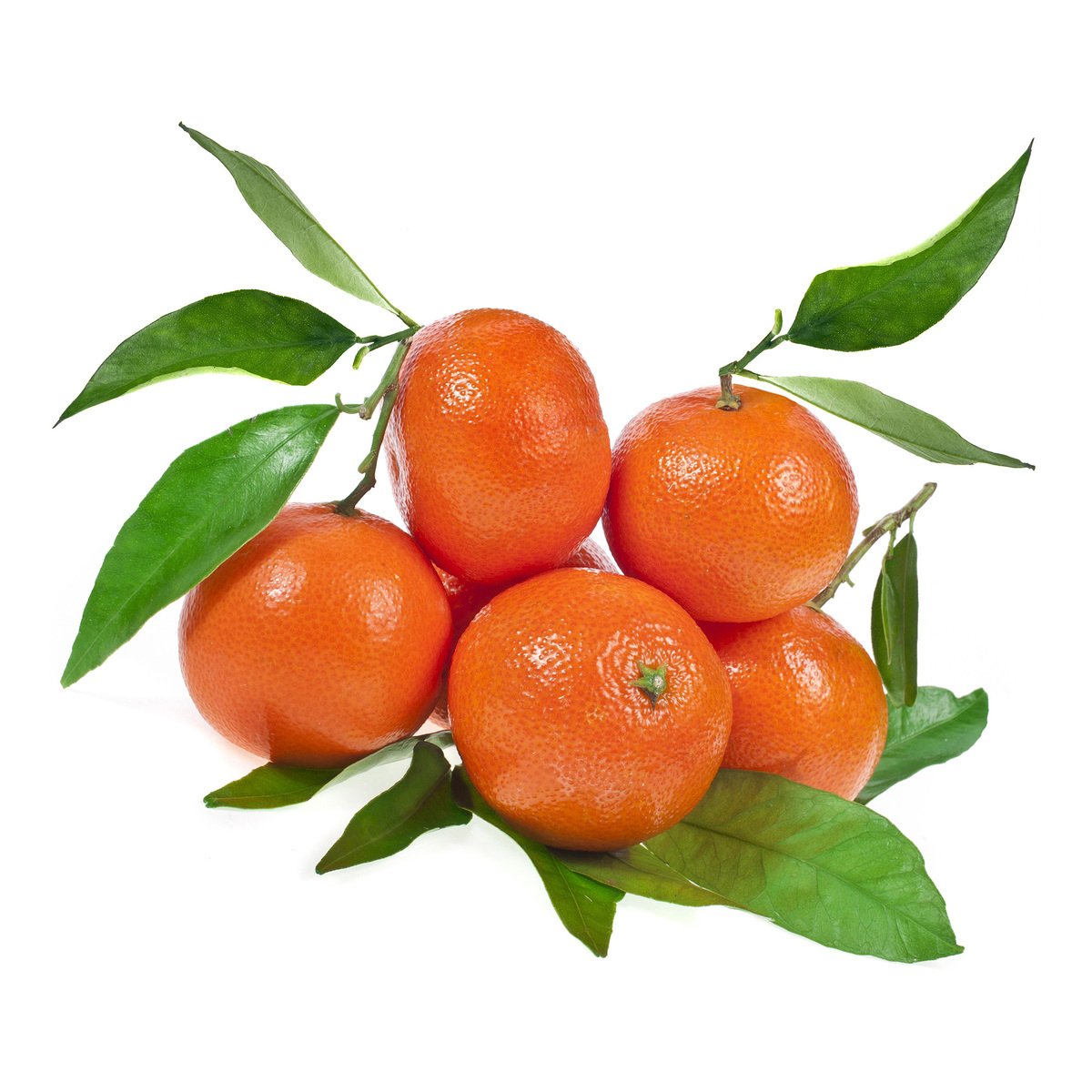 GETIT.QA- Qatar’s Best Online Shopping Website offers Clementine With Leaves Spain 1kg at lowest price in Qatar. Free Shipping & COD Available!