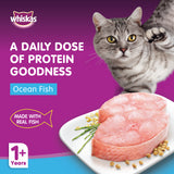 GETIT.QA- Qatar’s Best Online Shopping Website offers WHISKAS WET CAT FOOD OCEAN FISH FOR ADULT CATS 1+ YEARS 80 G at the lowest price in Qatar. Free Shipping & COD Available!