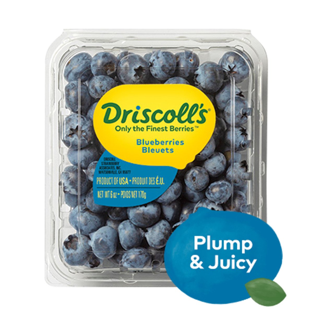 GETIT.QA- Qatar’s Best Online Shopping Website offers BLUEBERRIES CLAMSHELL 170G at the lowest price in Qatar. Free Shipping & COD Available!