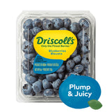 GETIT.QA- Qatar’s Best Online Shopping Website offers BLUEBERRIES CLAMSHELL 170G at the lowest price in Qatar. Free Shipping & COD Available!