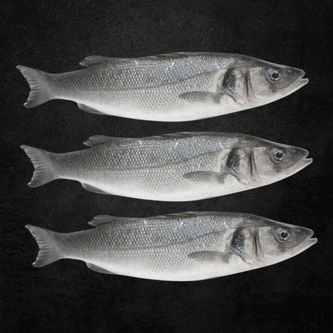 GETIT.QA- Qatar’s Best Online Shopping Website offers QATAR FARMED SEA BASS 1 KG at the lowest price in Qatar. Free Shipping & COD Available!