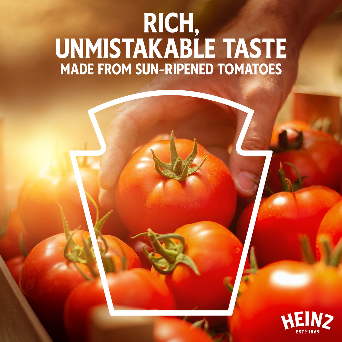 GETIT.QA- Qatar’s Best Online Shopping Website offers HEINZ GARLIC TOMATO KETCHUPÂ 460G at the lowest price in Qatar. Free Shipping & COD Available!