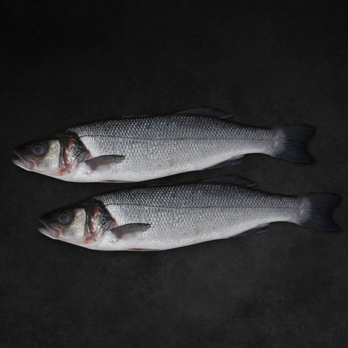 GETIT.QA- Qatar’s Best Online Shopping Website offers Fresh Sea Bass Whole Cleaned 1 kg at lowest price in Qatar. Free Shipping & COD Available!