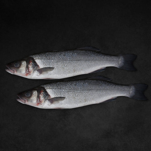 GETIT.QA- Qatar’s Best Online Shopping Website offers Fresh Sea Bass Whole Cleaned 1 kg at lowest price in Qatar. Free Shipping & COD Available!