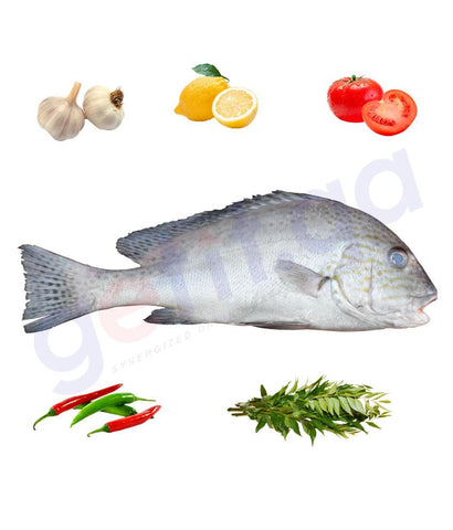 Fresh Fish - FARSH - فرش - PAINTED SWEETLIPS 1KG