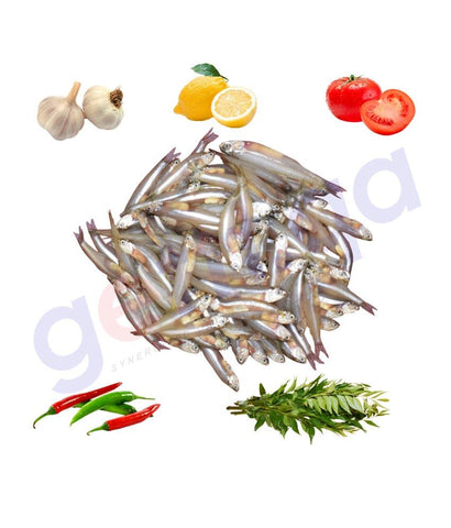 Fresh Fish - INDIAN ANCHOVY - Kozhuva