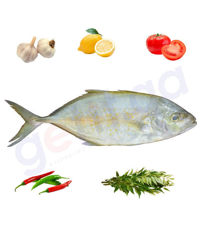 Fresh Fish - JASH - جش - WHITEFIN TRAVALLY (Small) 1Kg