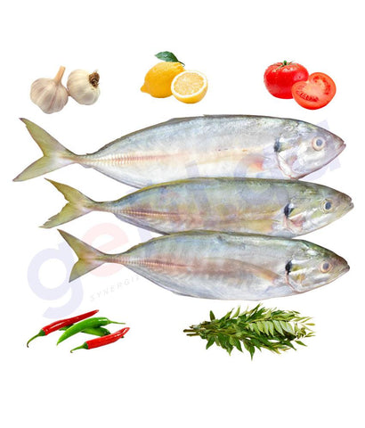 Fresh Fish - KARARI - كرارى - CREVALLE 1KG