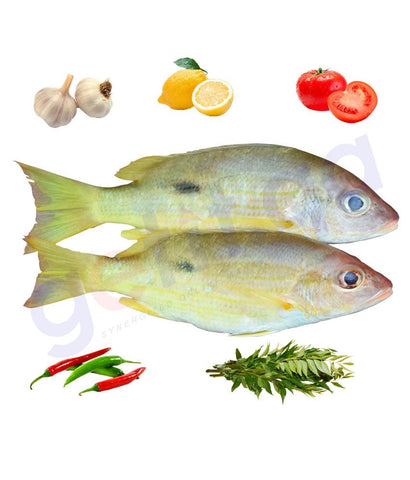 Fresh Fish - NAISER - نيسر - BLACKSPOT SNAPPER 1KG