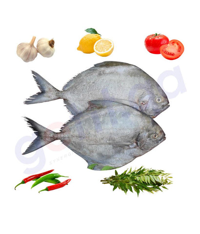 Fresh Fish - Parastromateus Niger - Black Promphet - Halway 1Kg
