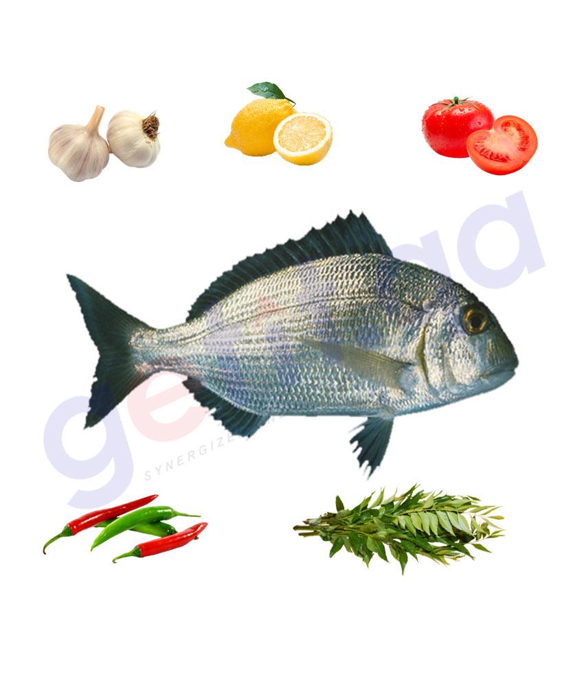Fresh Fish - QURQUFAN - قرقفان - HAFFARA SEABREAM 1KG