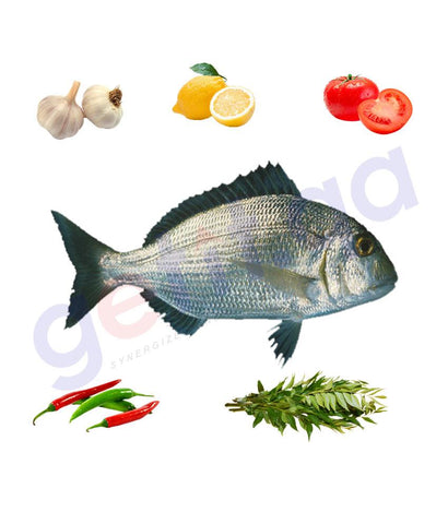 Fresh Fish - QURQUFAN - قرقفان - HAFFARA SEABREAM 1KG