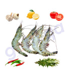 Fresh Fish - ROBIAN - روبيان - PRAWN -Big 1KG