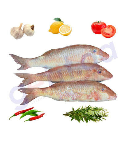 Fresh Fish - SULTAN IBRAHIM - سلطان ابراهيم - PEARLY GOATFISH 1KG