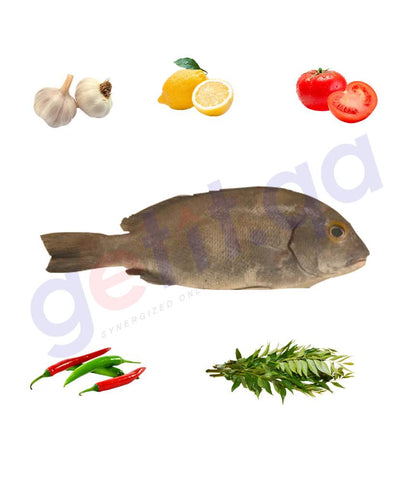 Fresh Fish - YANAM - ينم - SORDID SWEETLIP