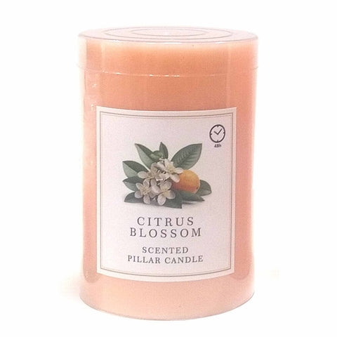 GETIT.QA- Qatar’s Best Online Shopping Website offers MAPLE LEAF SCENTED PILLAR CANDLE 7.5X10CM ORANGE CITRUS BLOSSOM at the lowest price in Qatar. Free Shipping & COD Available!