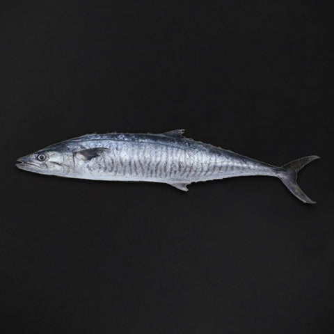 GETIT.QA- Qatar’s Best Online Shopping Website offers KING FISH MEDIUM WHOLE CLEANED 2 KG at the lowest price in Qatar. Free Shipping & COD Available!