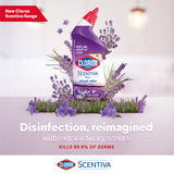 GETIT.QA- Qatar’s Best Online Shopping Website offers CLOROX SCENTIVA TUSCAN LAVENDER TOILET CLEANER 709 ML at the lowest price in Qatar. Free Shipping & COD Available!