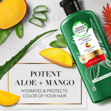 GETIT.QA- Qatar’s Best Online Shopping Website offers HERBAL ESSENCES COLOR PROTECT SULFATE FREE POTENT ALOE VERA + MANGO NATURAL CONDITIONER FOR DRY HAIR 400 ML at the lowest price in Qatar. Free Shipping & COD Available!