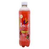 GETIT.QA- Qatar’s Best Online Shopping Website offers RUBICON STRAWBERRY & KIWI SPARKLING SPRING WATER WITH FRUIT JUICE 500 ML
 at the lowest price in Qatar. Free Shipping & COD Available!