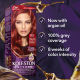 GETIT.QA- Qatar’s Best Online Shopping Website offers KOLESTON INTENSE RED PASSION 306/45 1 PKT at the lowest price in Qatar. Free Shipping & COD Available!