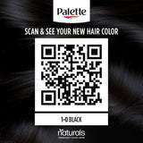 GETIT.QA- Qatar’s Best Online Shopping Website offers PALETTE PERMANENT NATURALS COLOR CREME 1-0 BLACK 1 PKT at the lowest price in Qatar. Free Shipping & COD Available!