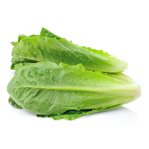 GETIT.QA- Qatar’s Best Online Shopping Website offers FARM FRESH LETTUCE ROMAINE 250 G at the lowest price in Qatar. Free Shipping & COD Available!