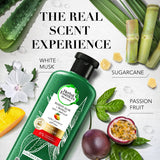 GETIT.QA- Qatar’s Best Online Shopping Website offers HERBAL ESSENCES COLOR PROTECT SULFATE FREE POTENT ALOE VERA + MANGO NATURAL CONDITIONER FOR DRY HAIR 400 ML at the lowest price in Qatar. Free Shipping & COD Available!