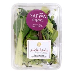 Mixed Salad 120 g