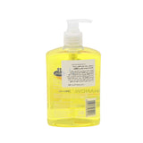 GETIT.QA- Qatar’s Best Online Shopping Website offers CERTEX ANTI BACTERIAL HAND WASH CITRUS 500ML at the lowest price in Qatar. Free Shipping & COD Available!