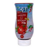 Rawa Hot Ketchup 400 g - GETIT.QA