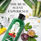 GETIT.QA- Qatar’s Best Online Shopping Website offers Herbal Essences Potent Aloe & Mango Shampoo 400 ml + Conditioner 400 ml at the lowest price in Qatar. Free Shipping & COD Available!