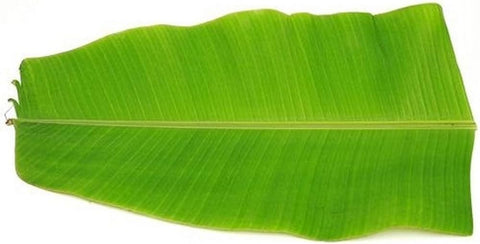 GETIT.QA- Qatar’s Best Online Shopping Website offers Banana Leaf India 1pc at lowest price in Qatar. Free Shipping & COD Available!