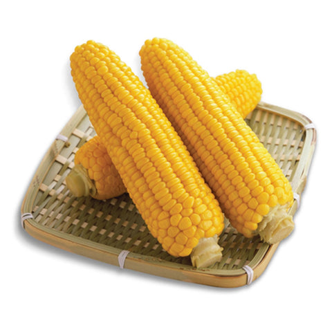 GETIT.QA- Qatar’s Best Online Shopping Website offers FRESH SWEET CORN BIG 1KG at the lowest price in Qatar. Free Shipping & COD Available!