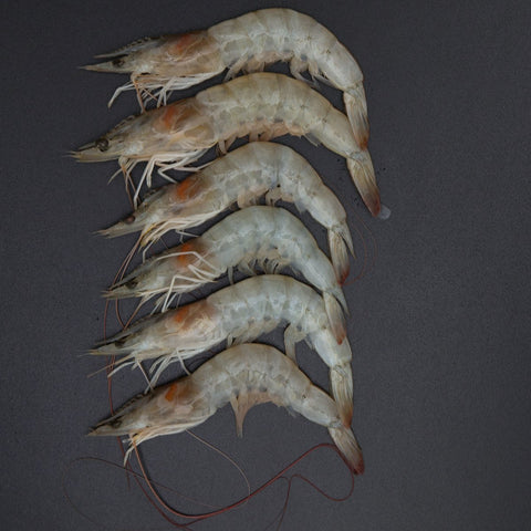 GETIT.QA- Qatar’s Best Online Shopping Website offers FRESH PRAWNS FARMED MEDIUM 350 G at the lowest price in Qatar. Free Shipping & COD Available!