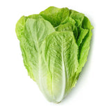 GETIT.QA- Qatar’s Best Online Shopping Website offers Lettuce Romaine Syria 500 g at the lowest price in Qatar. Free Shipping & COD Available!